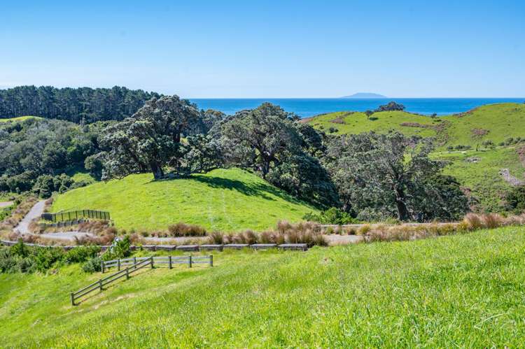 Lot 16/10 Tamihana Road_5