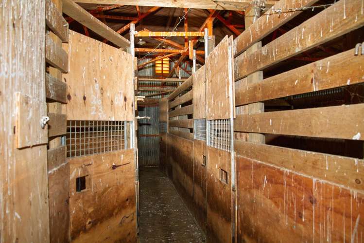 102 Coplands Road Ashburton_32