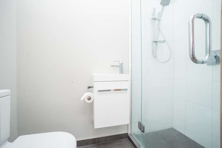 31 Rata Street Roslyn_9