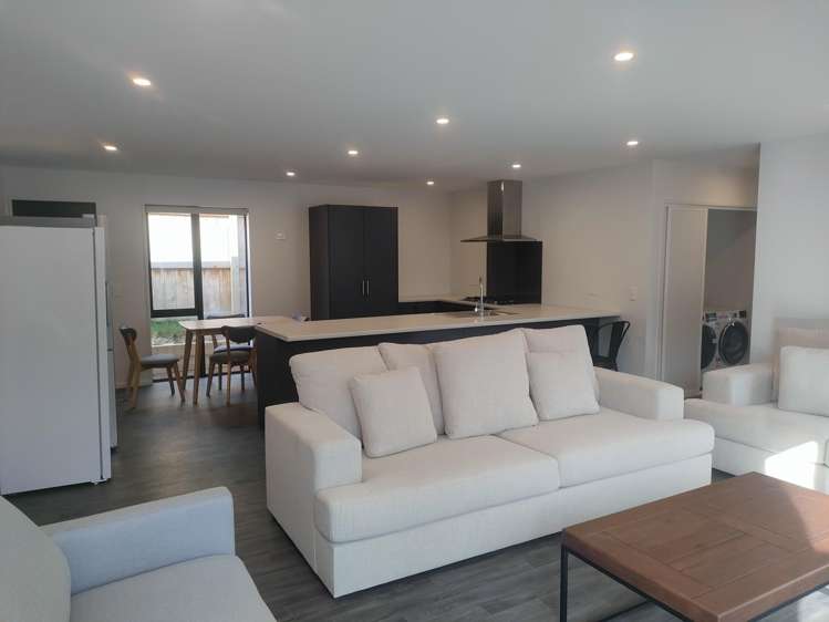 12B Humphrey Street Frankton_3