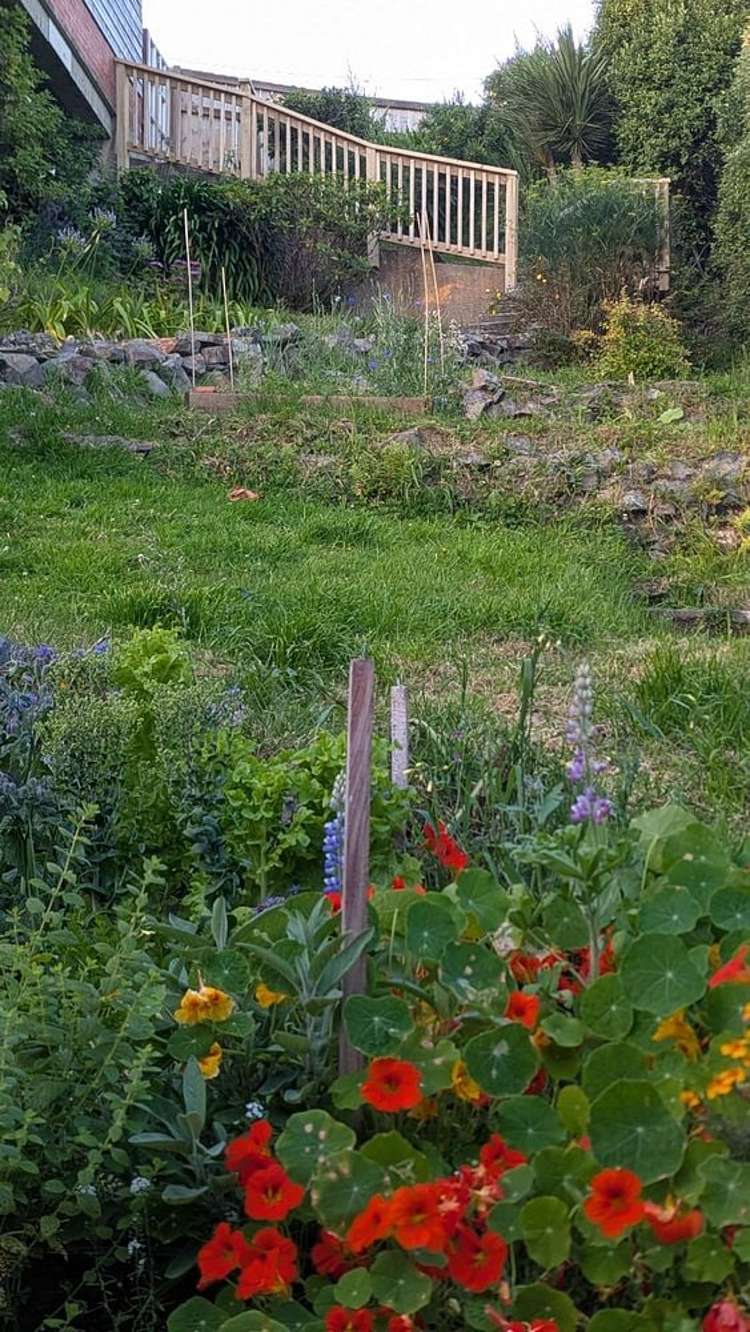 54 Tomahawk Road Andersons Bay_15