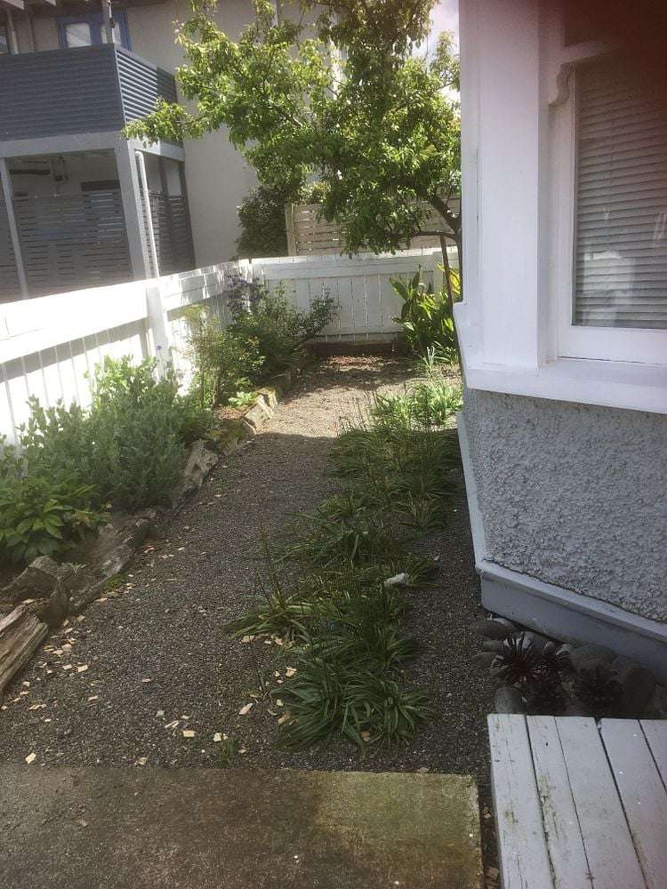 14A Freyberg Street Roslyn_13