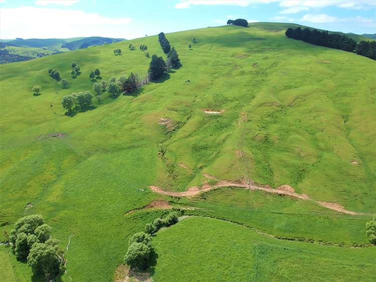 53 Jones Road Porangahau_4