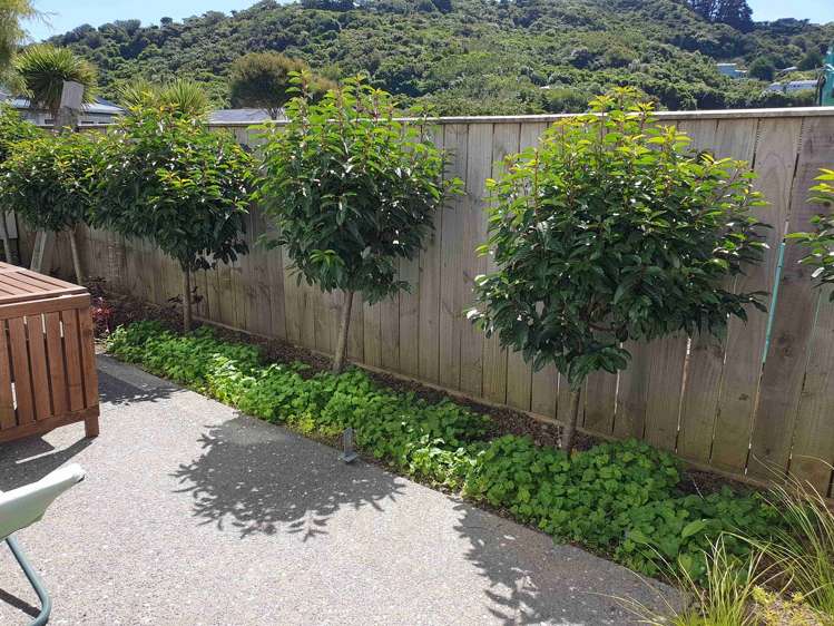 7B Chamberlain Road Karori_19