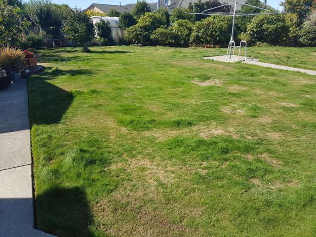 Lawn Care Business Rolleston_3