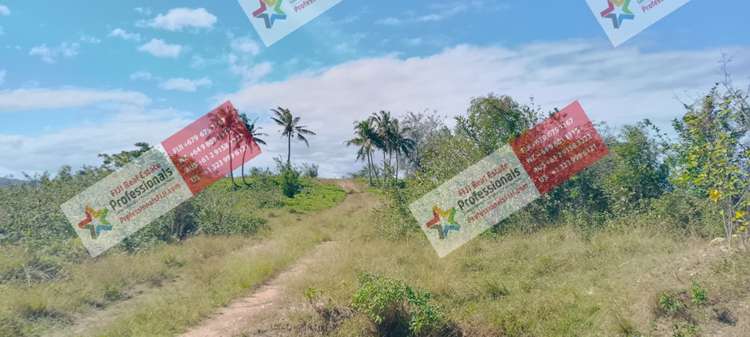 Address withheld Sigatoka_16