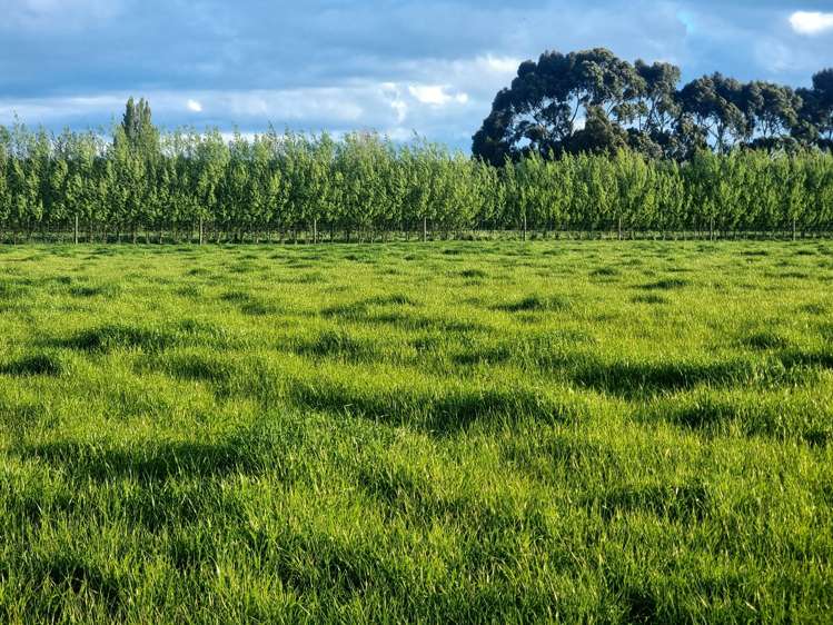 140 Hudsons Road Lincoln_27