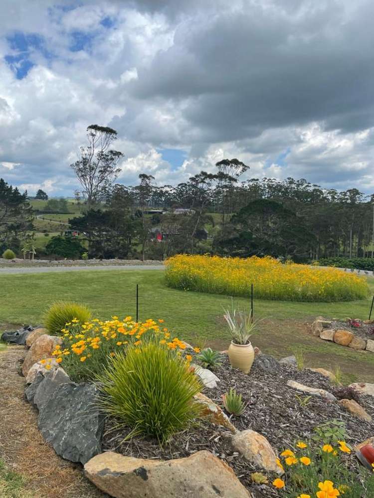 1 Bills Lane Kerikeri_25