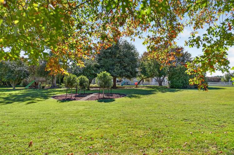195 Park Road Parkvale_23