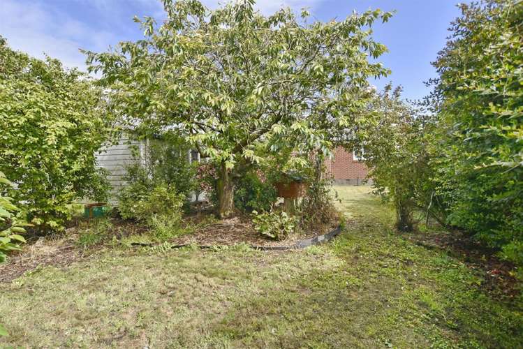 38 Hastings Street Southbridge_19