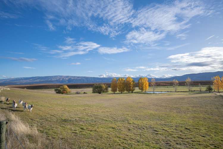 309 Golden Road Alexandra_1