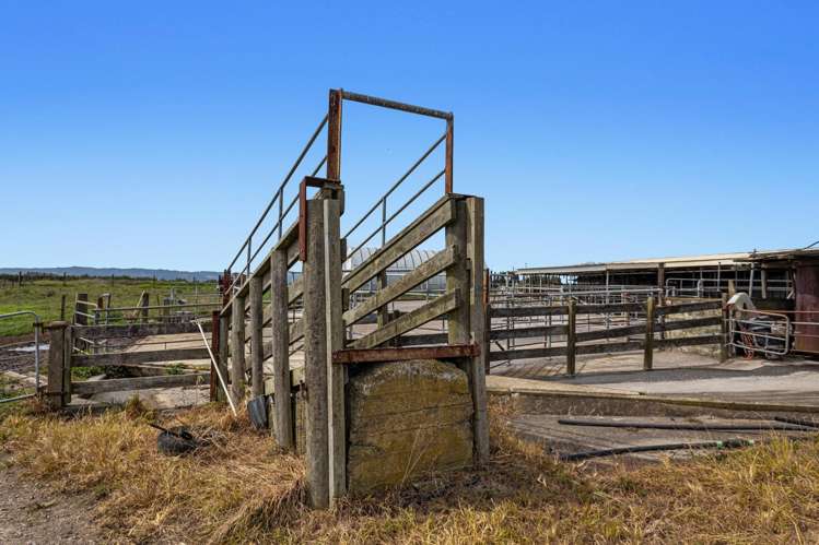 379B Powdrell Road Awakeri_16