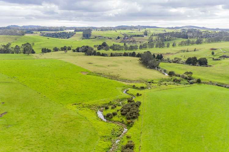 460 Pungaere Road Kerikeri Surrounds_23