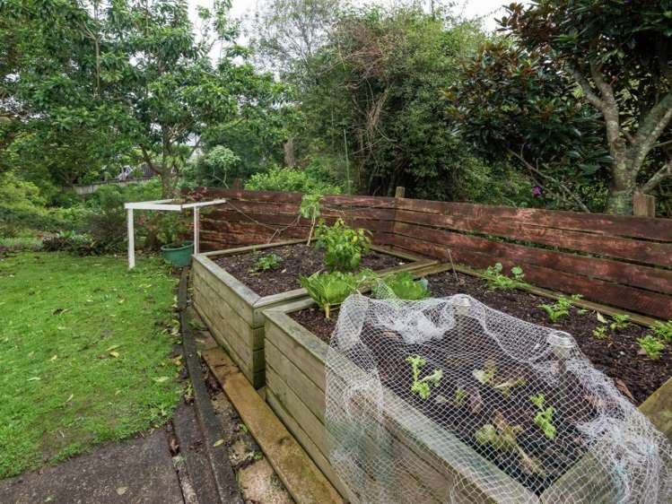 3/19 Waterloo Street Howick_13