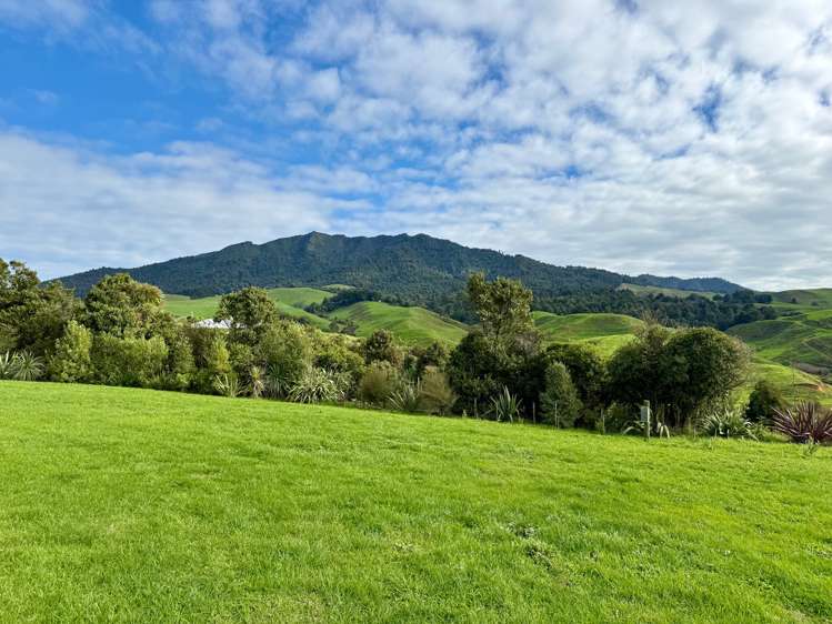 669A Te Hutewai Road Raglan_37