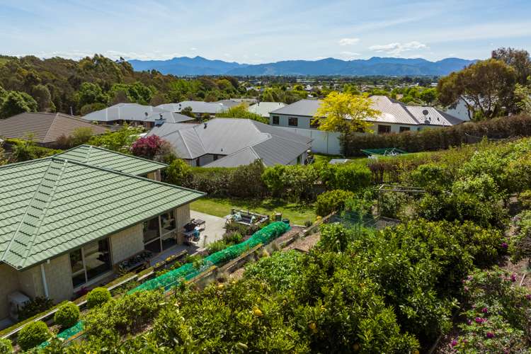 57 Forest Park Drive Witherlea_13