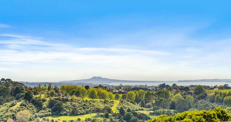 378e Ara-Kotinga Whitford_0