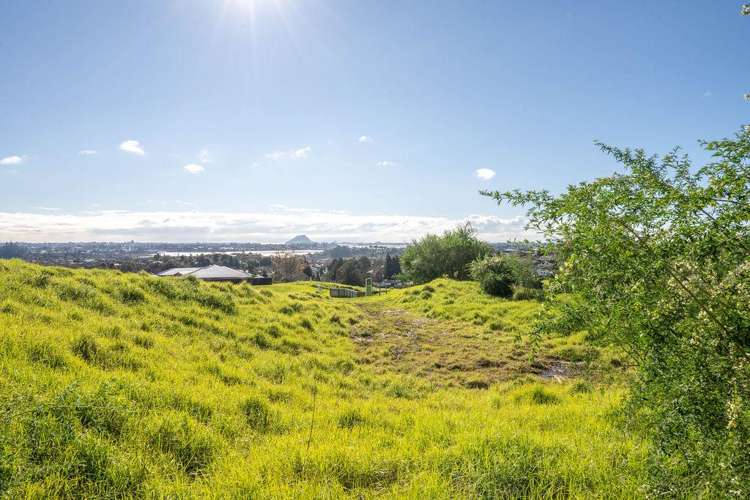99 Carmen Way Ohauiti_9
