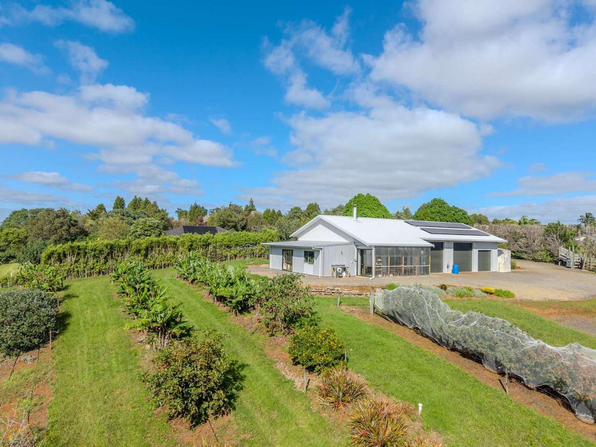 89 Conifer Lane Kerikeri_0