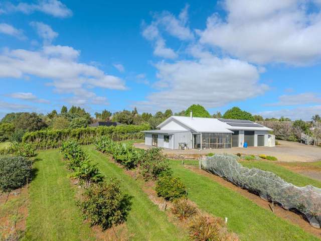 89 Conifer Lane Kerikeri_4