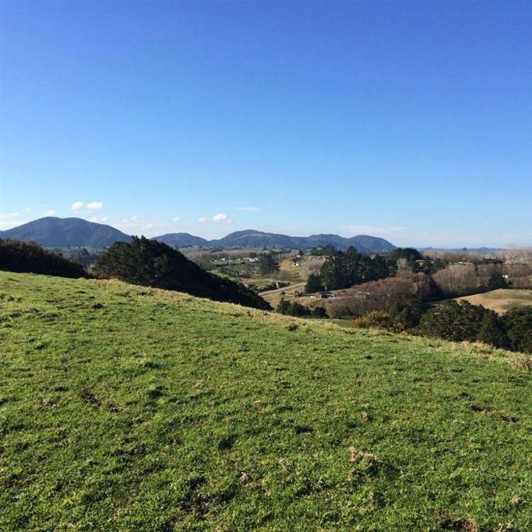 62 Kiwi Lane Kaiwaka_4