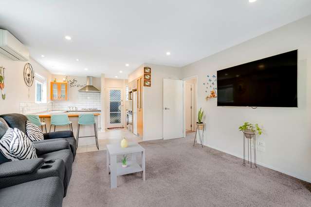 72 Livingstone Avenue Nawton_4