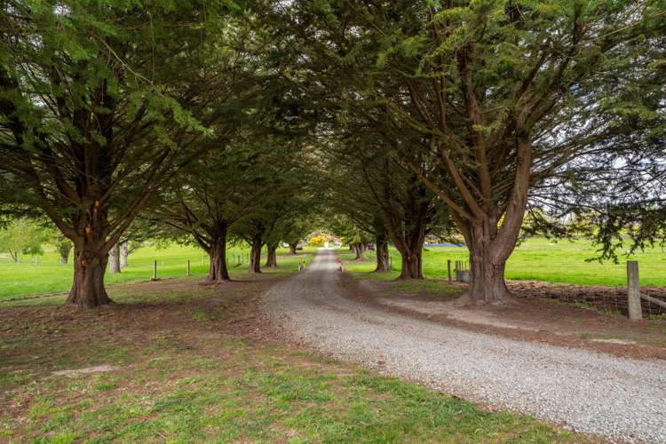 447 Rosewill Valley Road_0