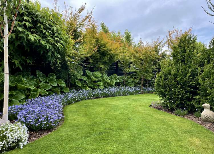 12 Seaward Street Pegasus_21