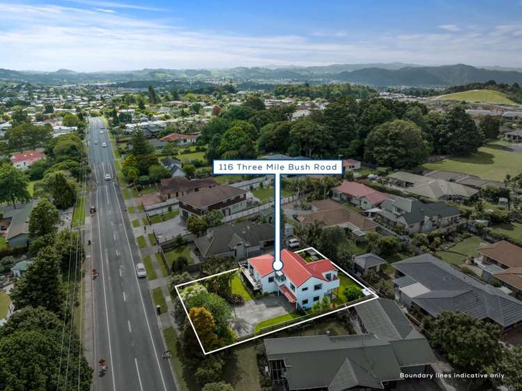 116 Three Mile Bush Road_0