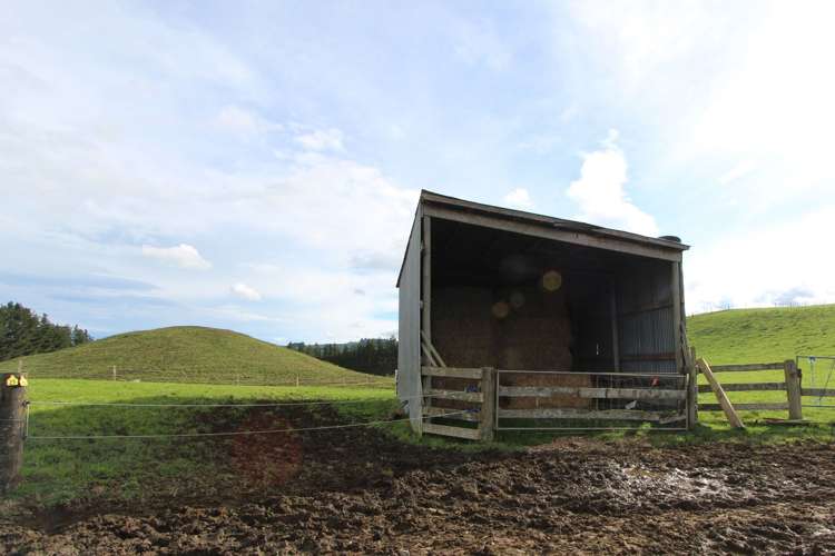 553 Buckland Road Matamata_5