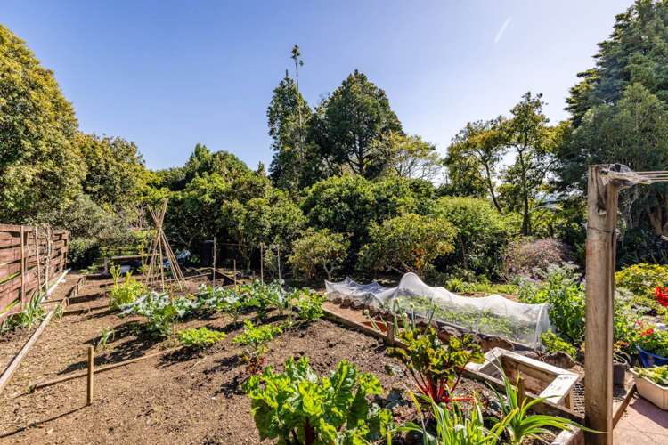 186 Kerikeri Road Kerikeri_16