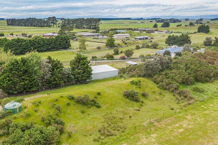 334 Motuiti Road Foxton_22