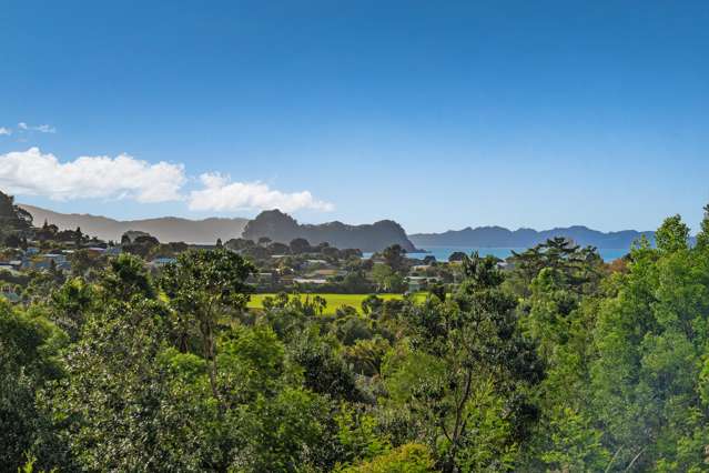 Native bush, sea views, and endless potential