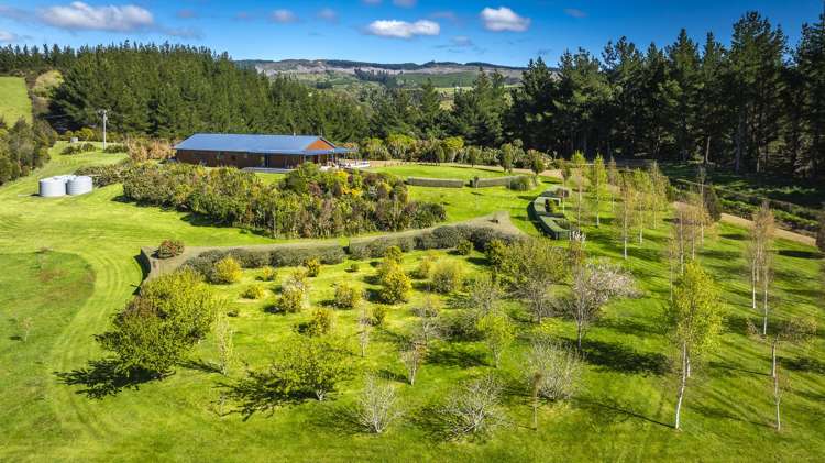 135 Willowford Road Waiwhare_2