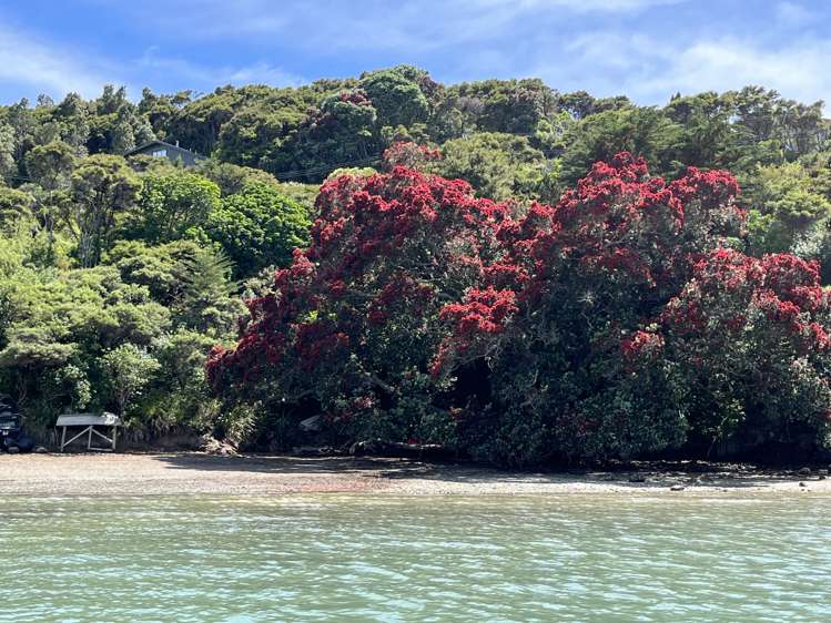 515 Wyuna Bay Road_1