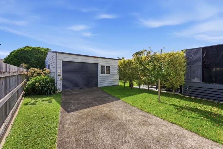 327 Carrington Street Vogeltown_27