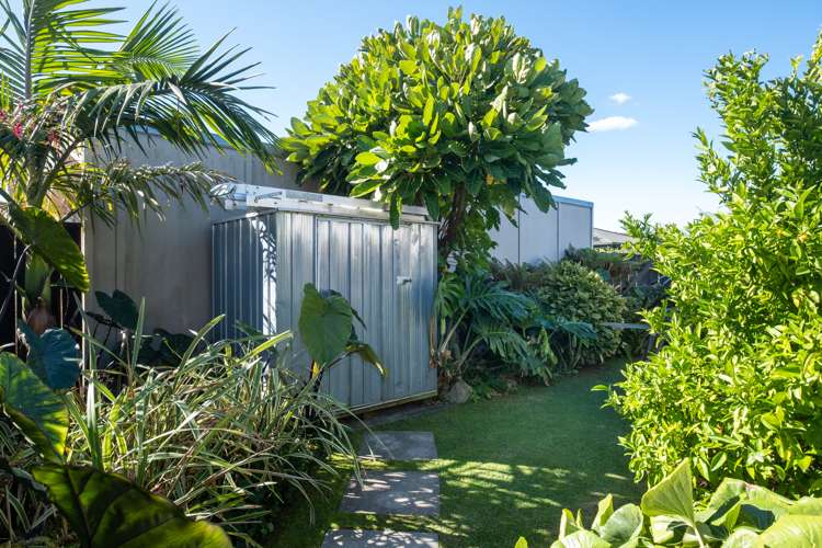 9a Kent Terrace Taradale_20