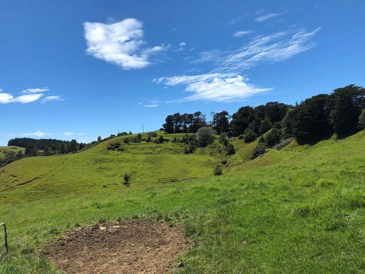 Lot 3 DP539905 Dill Road Kaipara Flats_20