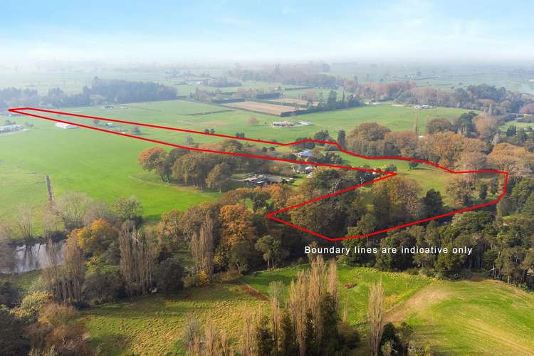 81D Horrell Road Morrinsville_27