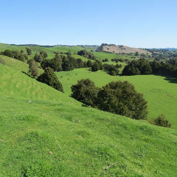 433 Pungapunga Valley Road Taumarunui_19