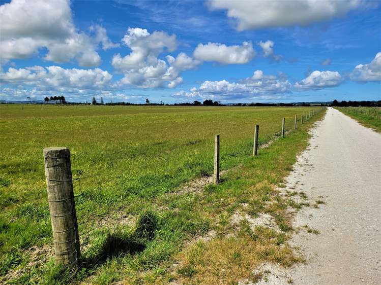 Tramline Road Ruawai_14