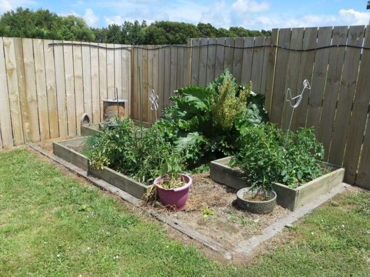 13 Dunlop Crescent Te Aroha_20