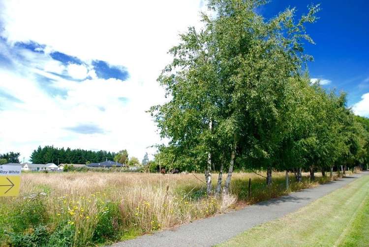 Timaru Road Waimate_6