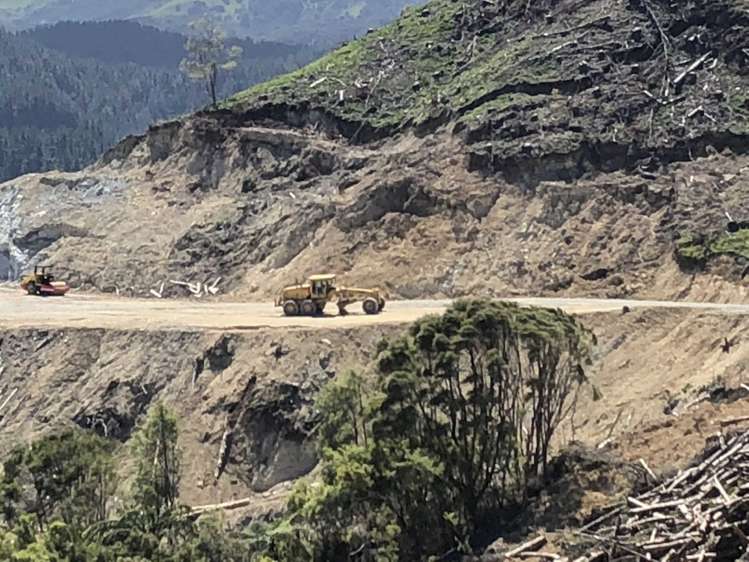 Duncan Road Waimata_13