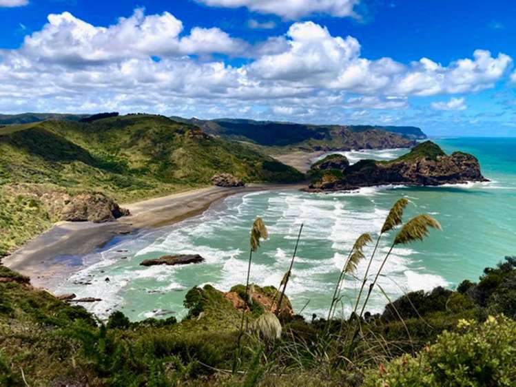 276 Bethells Road Bethells Beach_31