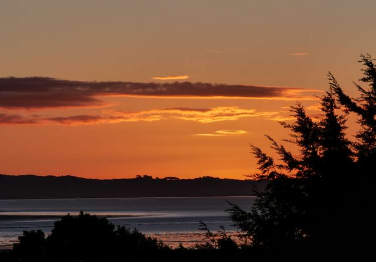 411 Millington Place Thames_5