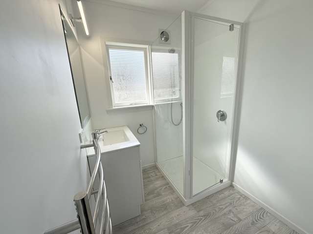 110 Arney Road Remuera_4