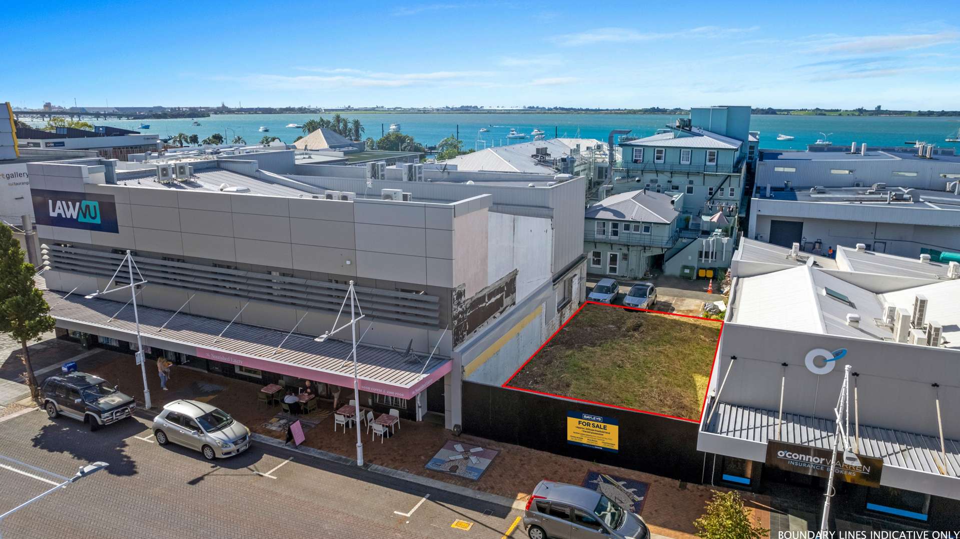 116 Willow Street Tauranga Central_0