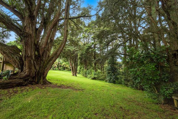 270 Vinegar Hill Road Kauri_1