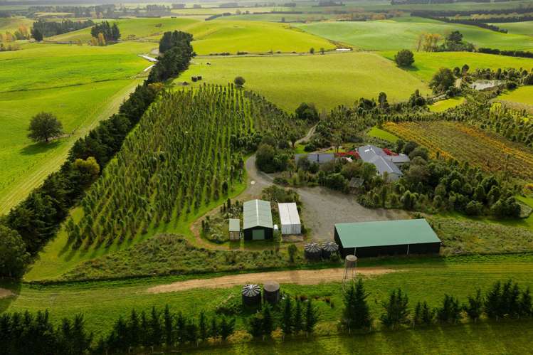 185 Sinclair Road Cheviot_34